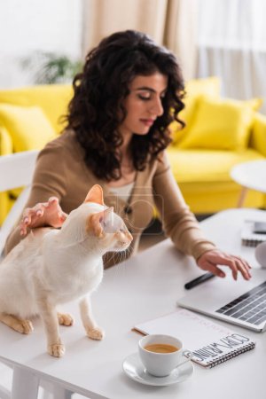 Rédactrice floue utilisant un ordinateur portable et caressant chat oriental tout en travaillant à la maison 