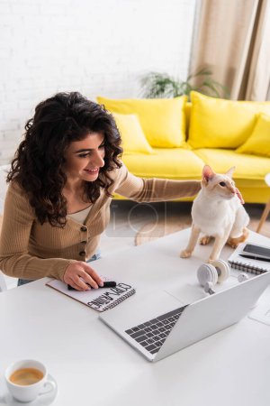Rédacteur souriant regardant ordinateur portable près du chat oriental à la maison 