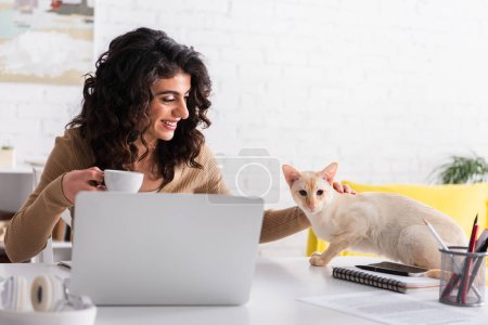 Alegre redactor celebración de café y acariciar gato oriental cerca de portátil en casa 