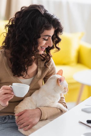 Alegre morena mujer mirando oriental gato y sosteniendo taza de café en casa 