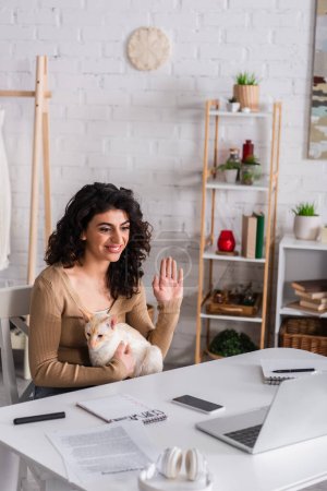 Smiling copywriter holding oriental cat and having video call on laptop 