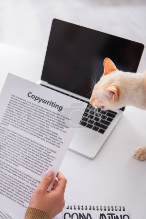 Vista recortada del copywriter que sostiene el papel cerca del gato oriental y del ordenador portátil en el país 