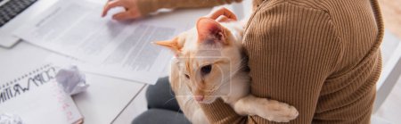 Foto de Vista recortada del freelancer sosteniendo gato oriental y trabajando en casa, pancarta - Imagen libre de derechos