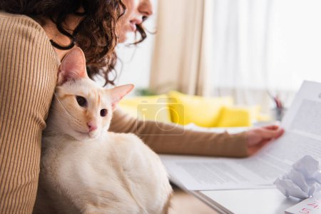 Cropped view of oriental cat sitting near woman holding papers at home 