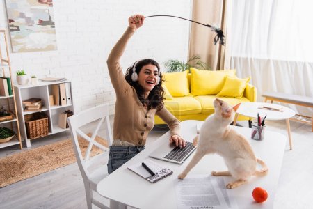 Smiling freelancer in headphones playing with oriental cat near papers and laptop at home 