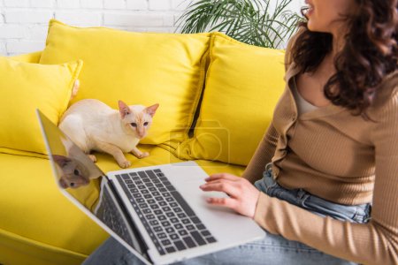 Vue recadrée du chat oriental assis sur le canapé près de la femme avec ordinateur portable à la maison 