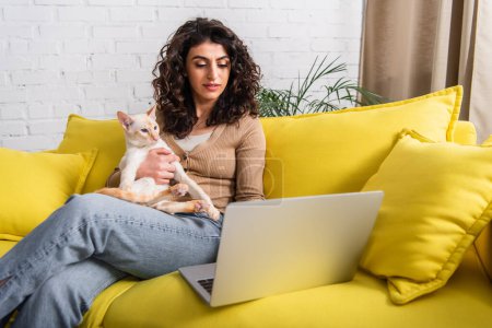Brunette freelancer holding oriental cat and looking at laptop while sitting on couch 