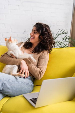 Cheerful freelancer looking at oriental cat near blurred laptop on couch 
