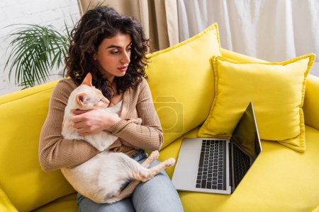 Curly freelancer holding oriental cat and looking at laptop with blank screen on couch 