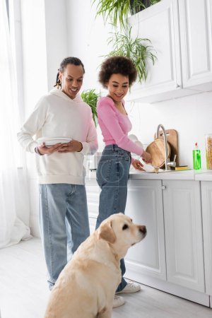 Positive african american couple washing dishes near blurred labrador in kitchen 