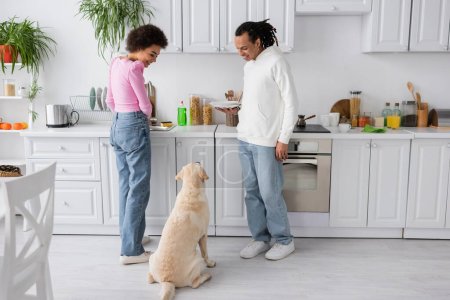 Positive african american couple washing plates and looking at labrador at home 