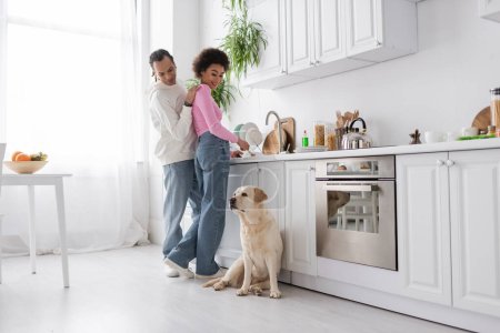 Positive african american couple washing plates and looking at labrador dog in kitchen 