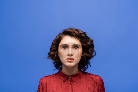 Photo pour Choqué jeune femme avec les cheveux bouclés courts regardant caméra isolée sur bleu - image libre de droit