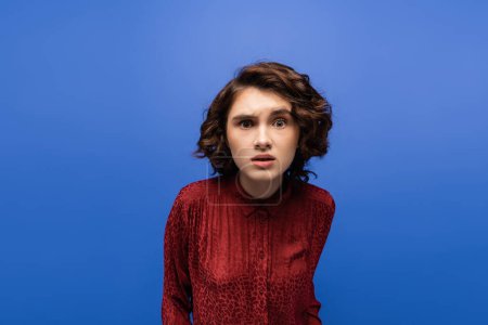 tensed young woman in maroon color blouse looking at camera isolated on blue 