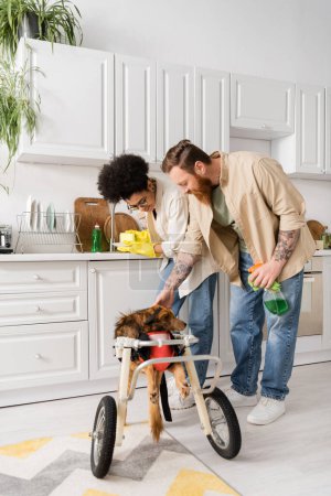 Positive interracial couple petting disabled dog while cleaning kitchen at home 