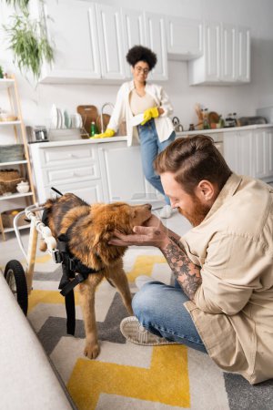 Tätowierter Mann streichelt behinderten Hund in der Nähe verschwommener afrikanisch-amerikanischer Freundin in Küche 
