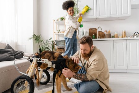 Tattooed man petting disabled dog on wheelchair near blurred african american girlfriend cleaning kitchen at home 