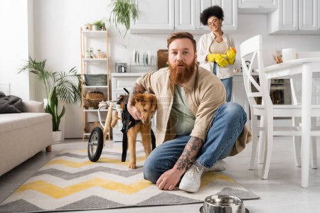 Bearded man petting disabled dog near cheerful african american woman on blurred background 