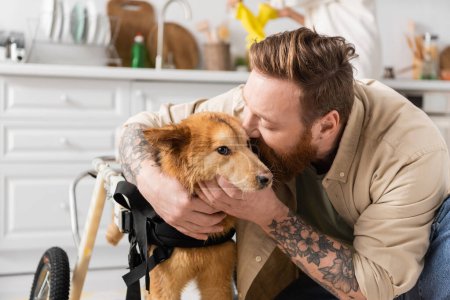 Bearded man with tattoo kissing cute disabled dog in wheelchair 