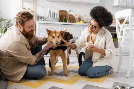 happy and multiethnic couple smiling while petting disabled dog in kitchen 