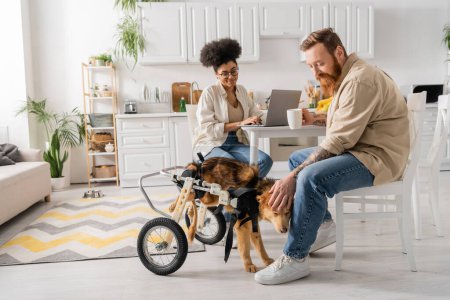 Bearded man with cup petting disabled dog near african american girlfriend using laptop in kitchen 