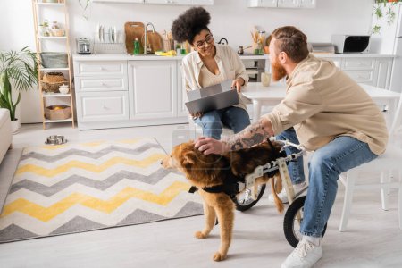 African american woman holding laptop and talking to boyfriend near handicapped dog at home 