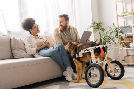 Positive multiethnic couple with coffee and laptop talking near disabled dog at home 