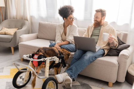 Smiling african american woman looking at boyfriend with coffee and laptop near disabled dog in wheelchair at home 