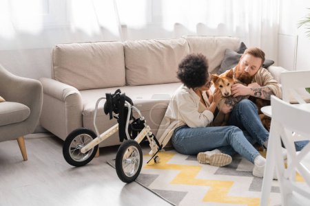 Téléchargez les photos : Couple multiethnique caressant chien handicapé près de fauteuil roulant dans le salon - en image libre de droit
