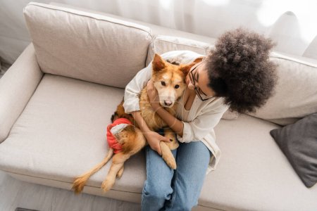 Blick aus der Vogelperspektive: Afrikanerin umarmt behinderten Hund, während sie zu Hause auf Couch sitzt 