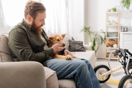 Adult bearded man petting dog with special need near wheelchair at home 