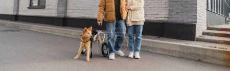 Cropped view of couple standing near handicapped dog in wheelchair outdoors, banner 