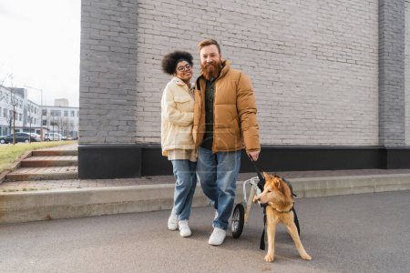Positive multiethnic couple with disabled dog looking at camera on urban street 