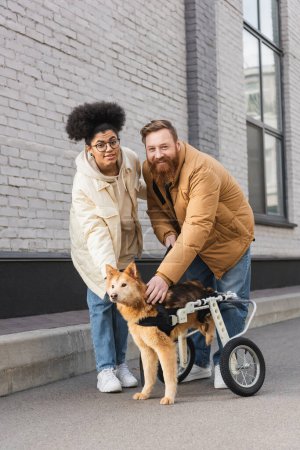 Smiling interracial couple looking at camera and petting dog with special needs on urban street 