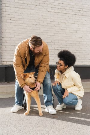 Smiling african american woman looking at boyfriend and handicapped dog on urban street 
