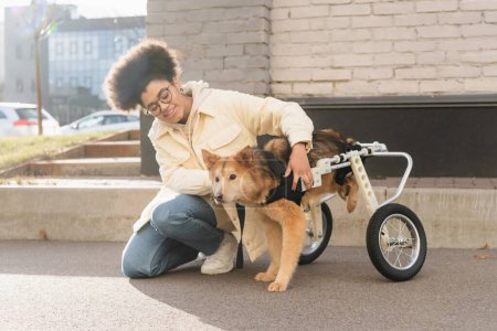 Africano despreocupado mujer americana mirando a perro con necesidades especiales en la calle urbana 