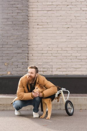 Photo pour Homme barbu souriant étreignant chien en fauteuil roulant sur la rue urbaine - image libre de droit