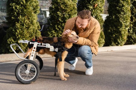 Bearded man petting disabled dog in wheelchair on street in springtime  