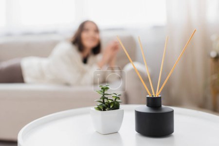 Aroma diffuser and plant on coffee table near blurred woman at home 