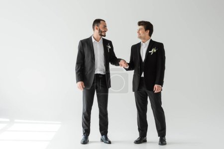 Full length of positive homosexual grooms in elegant formal wear holding hands and looking at each other while standing on grey background with sunlight 