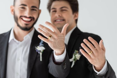 Photo for Burred young homosexual grooms in classic suits showing golden wedding rings at camera during marriage celebration isolated on grey - Royalty Free Image