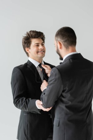 Der bärtige homosexuelle Bräutigam im klassischen Anzug passt die Krawatte des lächelnden jungen Freundes während der Hochzeitszeremonie und Feier an, während er isoliert auf grau steht  