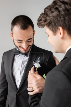 Young blurred homosexual man adjusting boutonniere on elegant suit of cheerful bearded boyfriend during wedding isolated on grey 