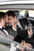 Cheerful gay groom in classic suit with boutonniere touching chin of young boyfriend in braces and holding glass of champagne while sitting on backseat of car  Poster #654380002