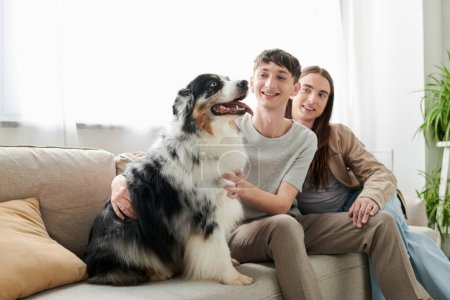 Positive and blurred same sex couple in casual clothes looking and petting cute Australian shepherd dog while sitting on couch together in living room at home 
