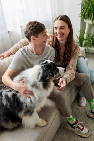 High angle view of young smiling lgbt couple in casual clothes talking while spending time near furry Australian shepherd dog sitting on couch in living room at home 
