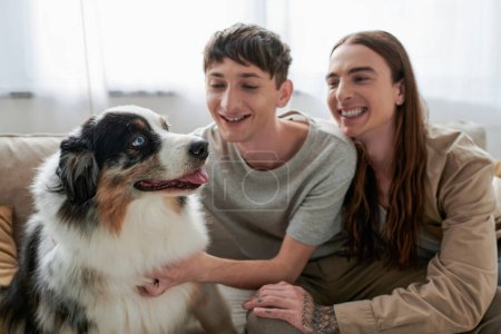 Furry Australian shepherd dog looking away while sitting near blurred and smiling same sex couple spending time in living room at home 