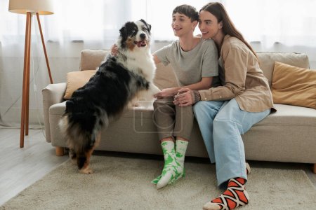 Junges und positives gleichgeschlechtliches Paar in lässiger Kleidung und Socken, Händchen haltend und den australischen Schäferhund anschauend, während er zu Hause auf der Couch im Wohnzimmer sitzt 