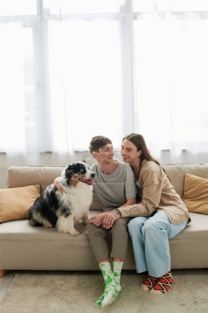 Cheerful same sex couple in casual clothes and socks talking near furry Australian shepherd dog sitting on couch in modern living room at home 