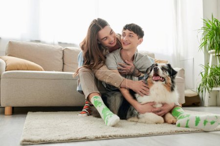 Jeune et insouciant couple de même sexe en chaussettes étreignant et caressant chien berger australien reposant sur le tapis sur le sol dans le salon moderne à la maison 